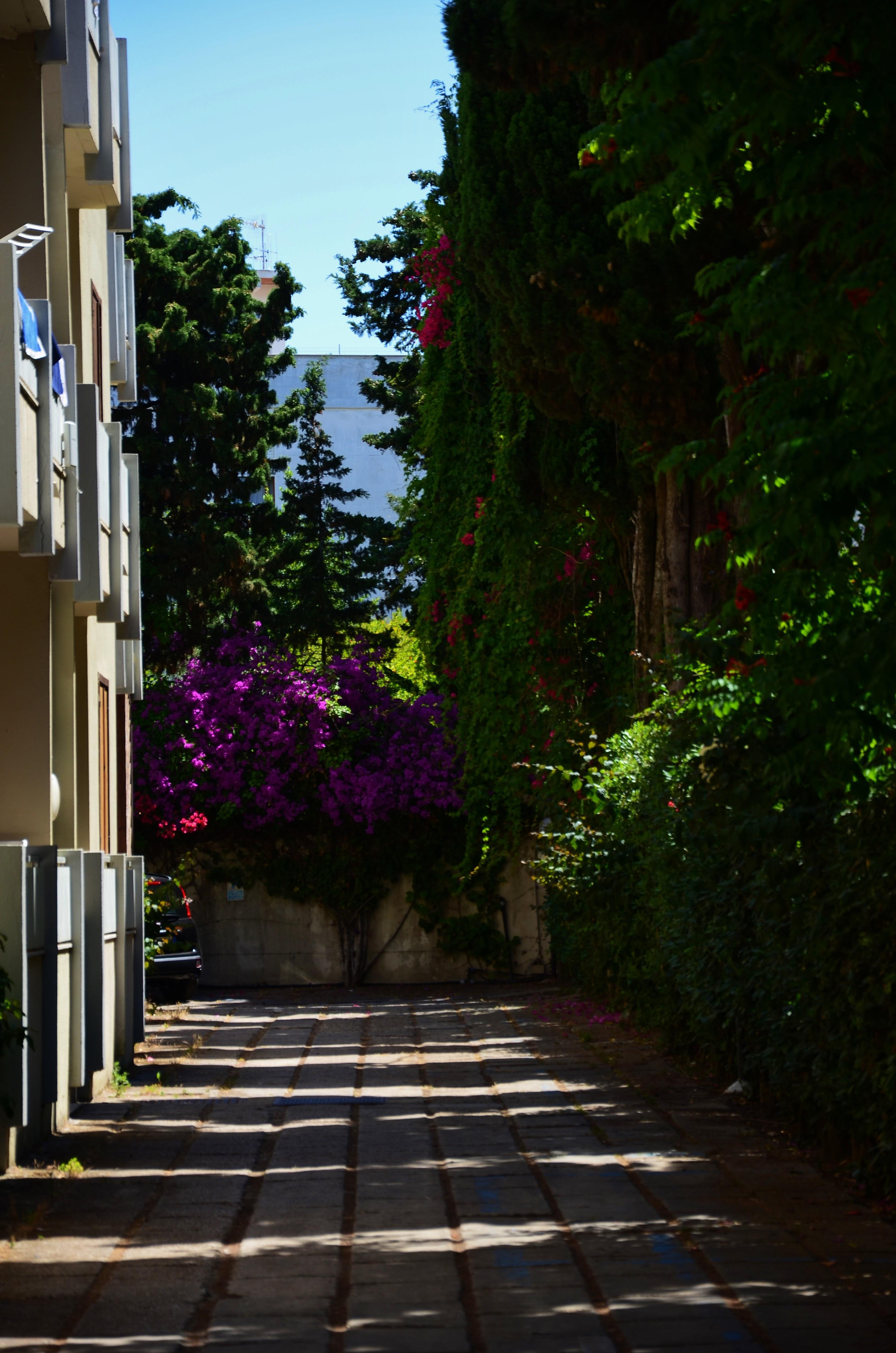 Residence Eucalipti Alghero Eksteriør billede
